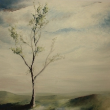 frele_printemps frele_printemps