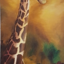 girafe_masai