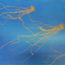 Siecle des meduses 1