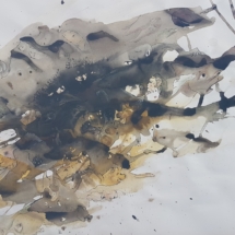 50x65 cm, encre et pastels secs sur papier, 150 euros Cauchemars 3